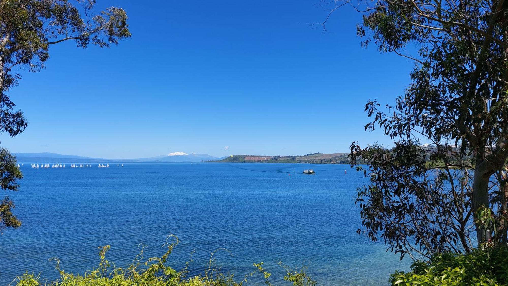 Bed And Breakfast Happy Home Taupo Accommodation ภายนอก รูปภาพ